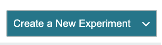 Begin testing by clicking 'Create a New Experiment'